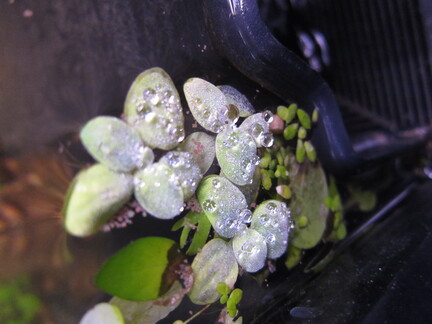 20120405 233032